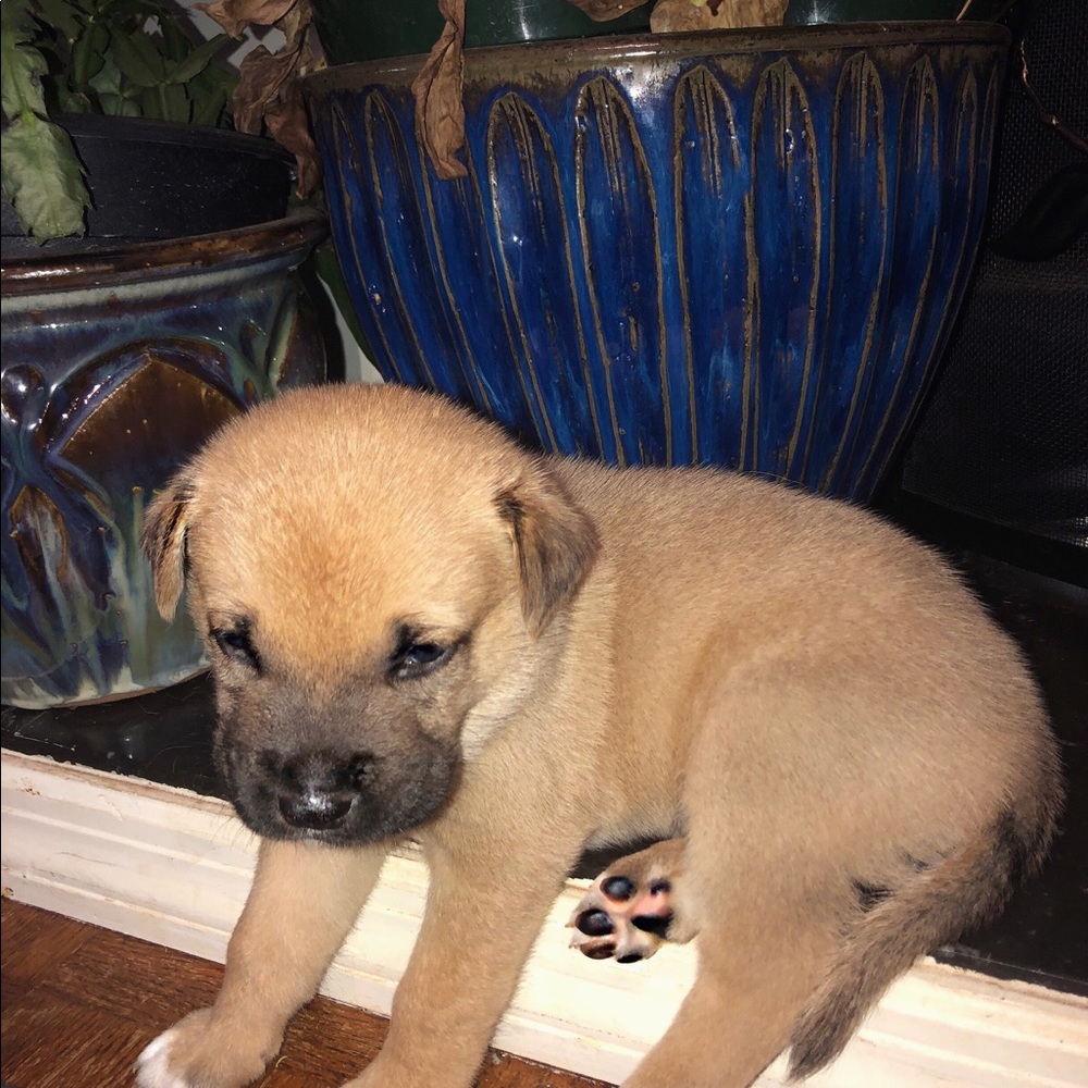 Meet your Posher, Kim